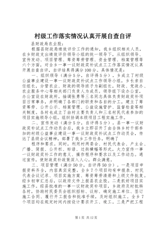 2024年村级工作落实情况认真开展自查自评