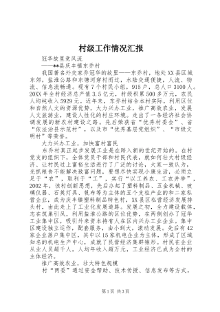 2024年村级工作情况汇报