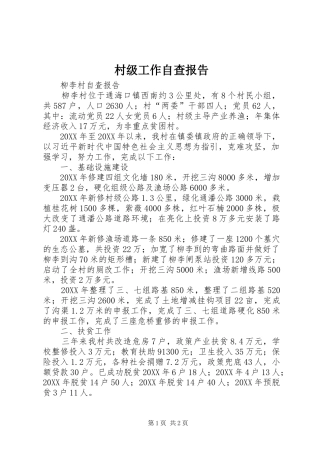 2024年村级工作自查报告