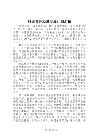 2024年村级集体经济发展计划汇报