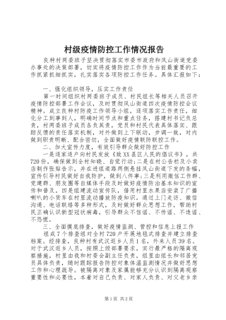 2024年村级疫情防控工作情况报告