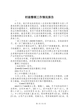 2024年村级整顿工作情况报告