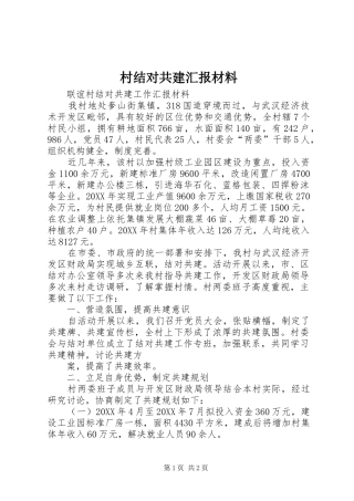 2024年村结对共建汇报材料