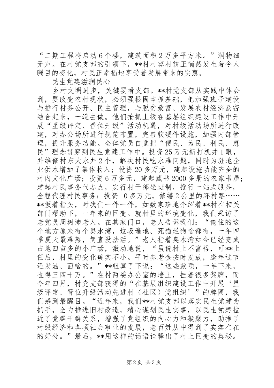 2024年村经济社会事业大发展总结_第2页