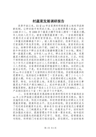 2024年村蔬菜发展调研报告