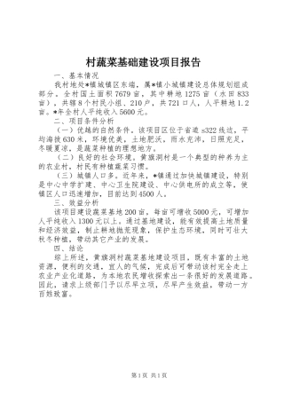 2024年村蔬菜基础建设项目报告