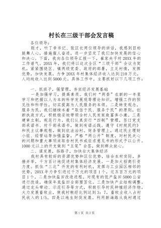 2024年村长在三级干部会讲话稿