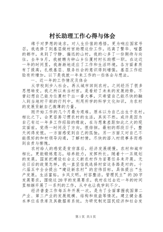2024年村长助理工作心得与体会