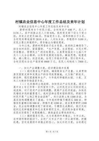 2024年村镇农业信息中心年度工作总结及来年计划