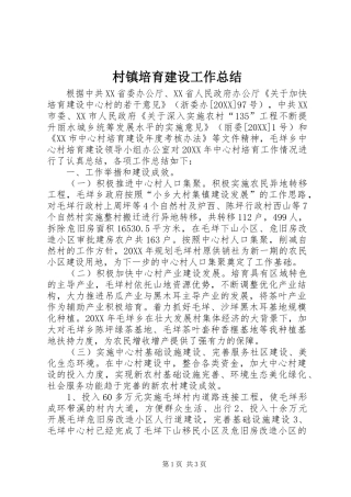 2024年村镇培育建设工作总结