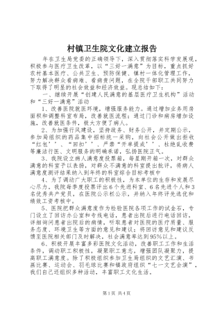 2024年村镇卫生院文化建立报告
