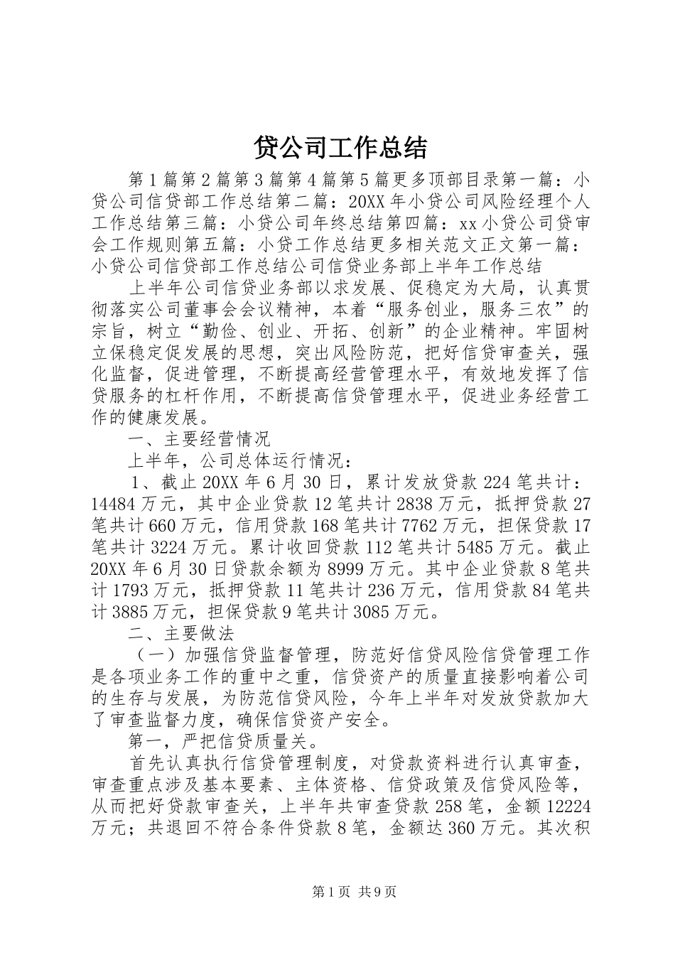 2024年贷公司工作总结_第1页