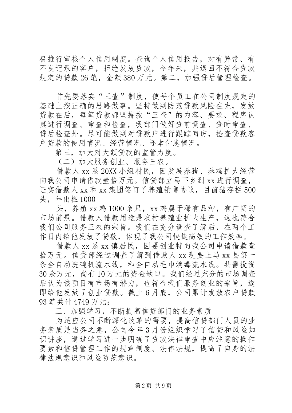 2024年贷公司工作总结_第2页