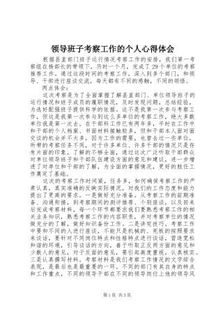 2024年领导班子考察工作的个人心得体会