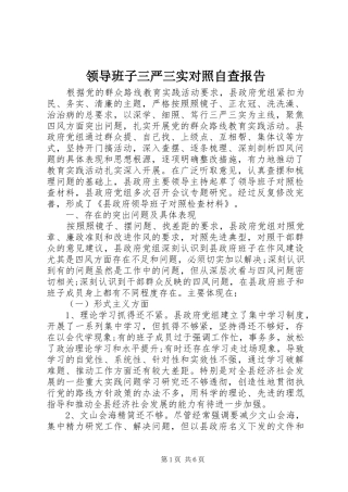 2024年领导班子三严三实对照自查报告