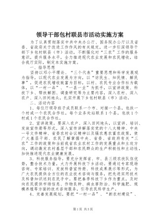 2024年领导干部包村联县市活动实施方案