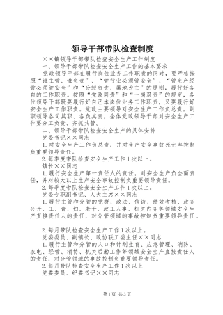 2024年领导干部带队检查制度