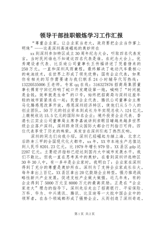 2024年领导干部挂职锻炼学习工作汇报