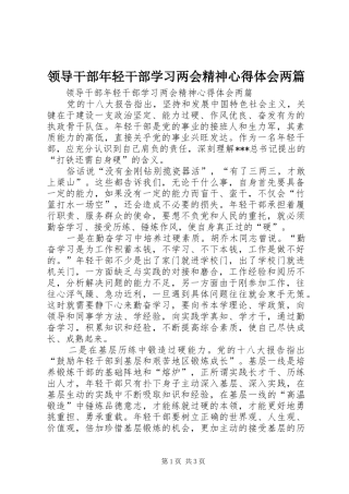 2024年领导干部年轻干部学习两会精神心得体会两篇