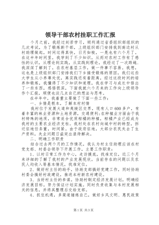 2024年领导干部农村挂职工作汇报