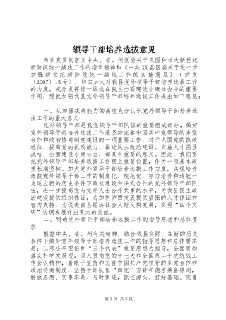 2024年领导干部培养选拔意见