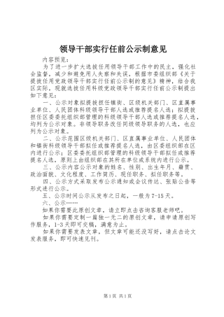 2024年领导干部实行任前公示制意见
