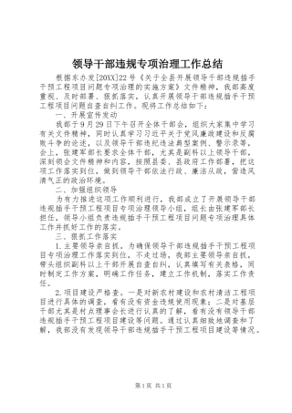 2024年领导干部违规专项治理工作总结