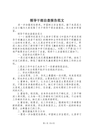 2024年领导干部自查报告范文