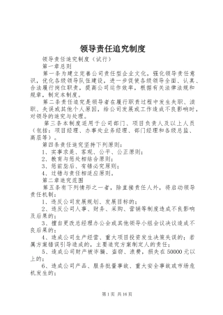 2024年领导责任追究制度