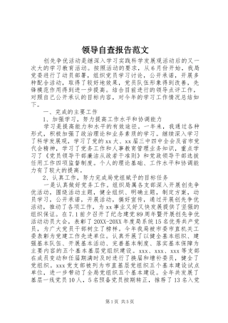 2024年领导自查报告范文