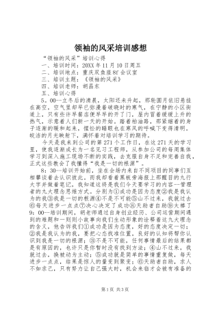 2024年领袖的风采培训感想