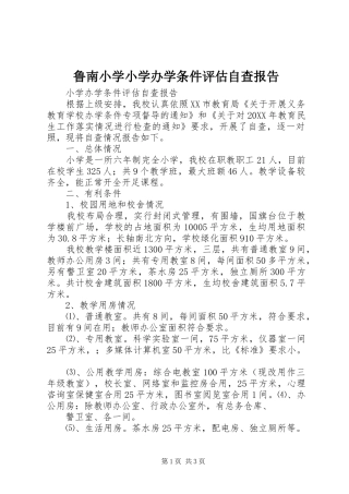 2024年鲁南小学小学办学条件评估自查报告