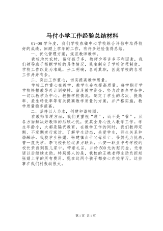 2024年马付小学工作经验总结材料