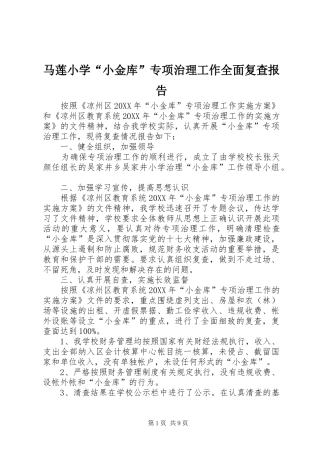 2024年马莲小学小金库专项治理工作全面复查报告