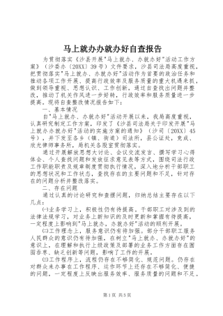 2024年马上就办办就办好自查报告