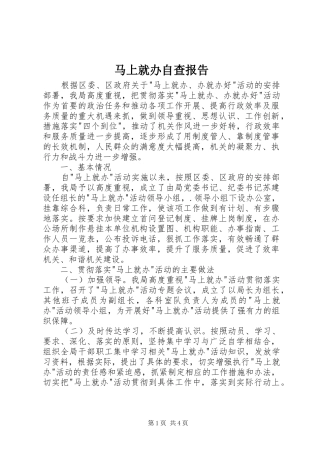 2024年马上就办自查报告