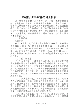 2024年春潮行动落实情况自查报告
