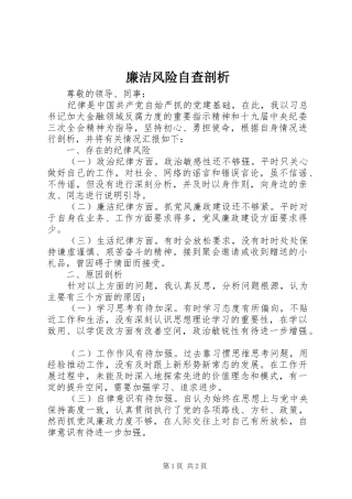 2024年廉洁风险自查剖析