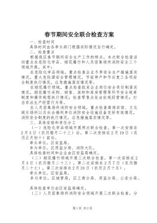 2024年春节期间安全联合检查方案
