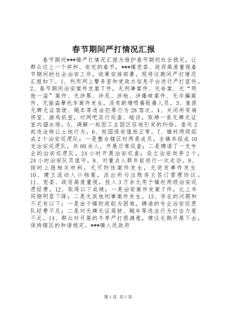 2024年春节期间严打情况汇报