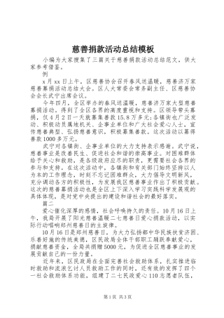 2024年慈善捐款活动总结模板