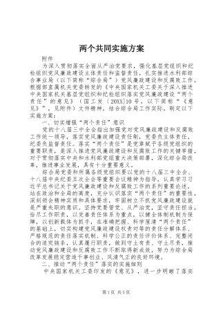 2024年两个共同实施方案