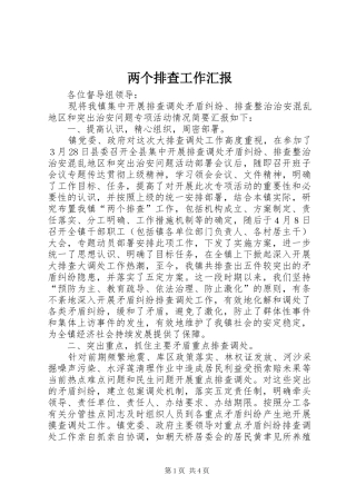 2024年两个排查工作汇报