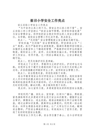 2024年崔召小学安全工作亮点