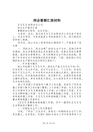 2024年两会督察汇报材料