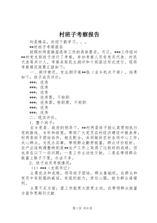 2024年村班子考察报告