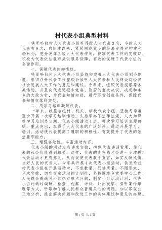 2024年村代表小组典型材料
