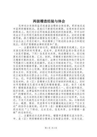 2024年两级稽查经验与体会