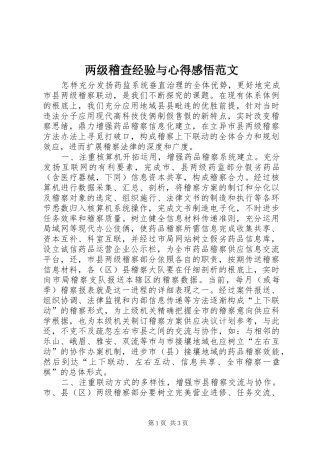 2024年两级稽查经验与心得感悟范文