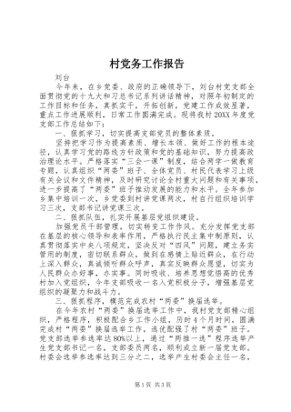 2024年村党务工作报告